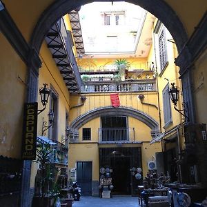 Casa Dodo